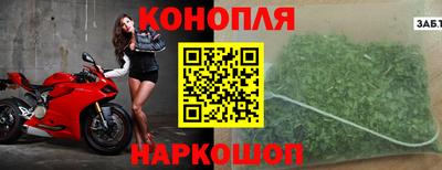 прущие грибы Лесосибирск