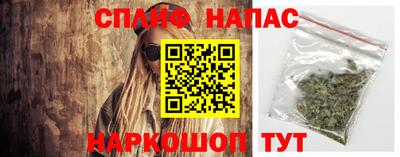 прущие грибы Лесосибирск