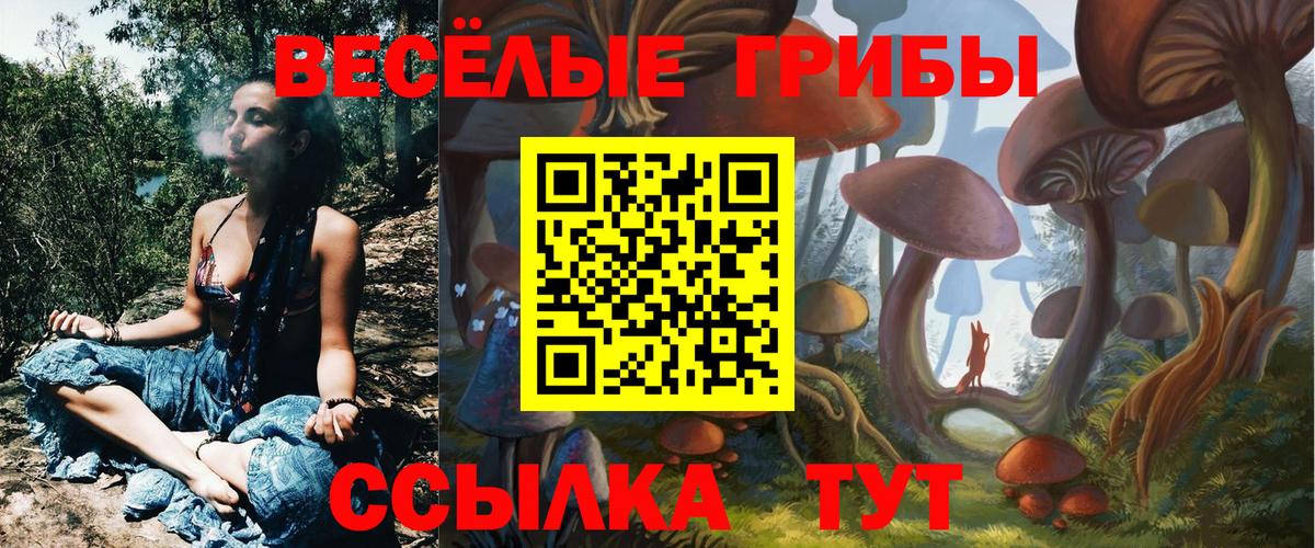Ялуторовск  Галлюциногенные грибы прущие грибы  Вход с VPN  Галлюциногенные грибы GOLDEN TEACHER 