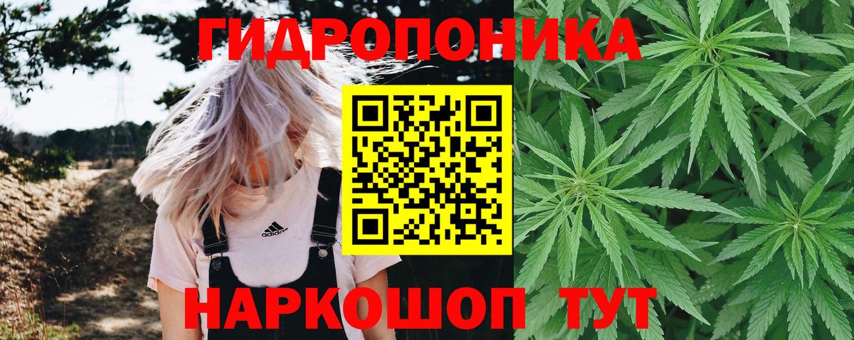 Ялуторовск  Конопля AK-47  Вход с VPN  Канабис White Widow  Бошки марихуана сатива 